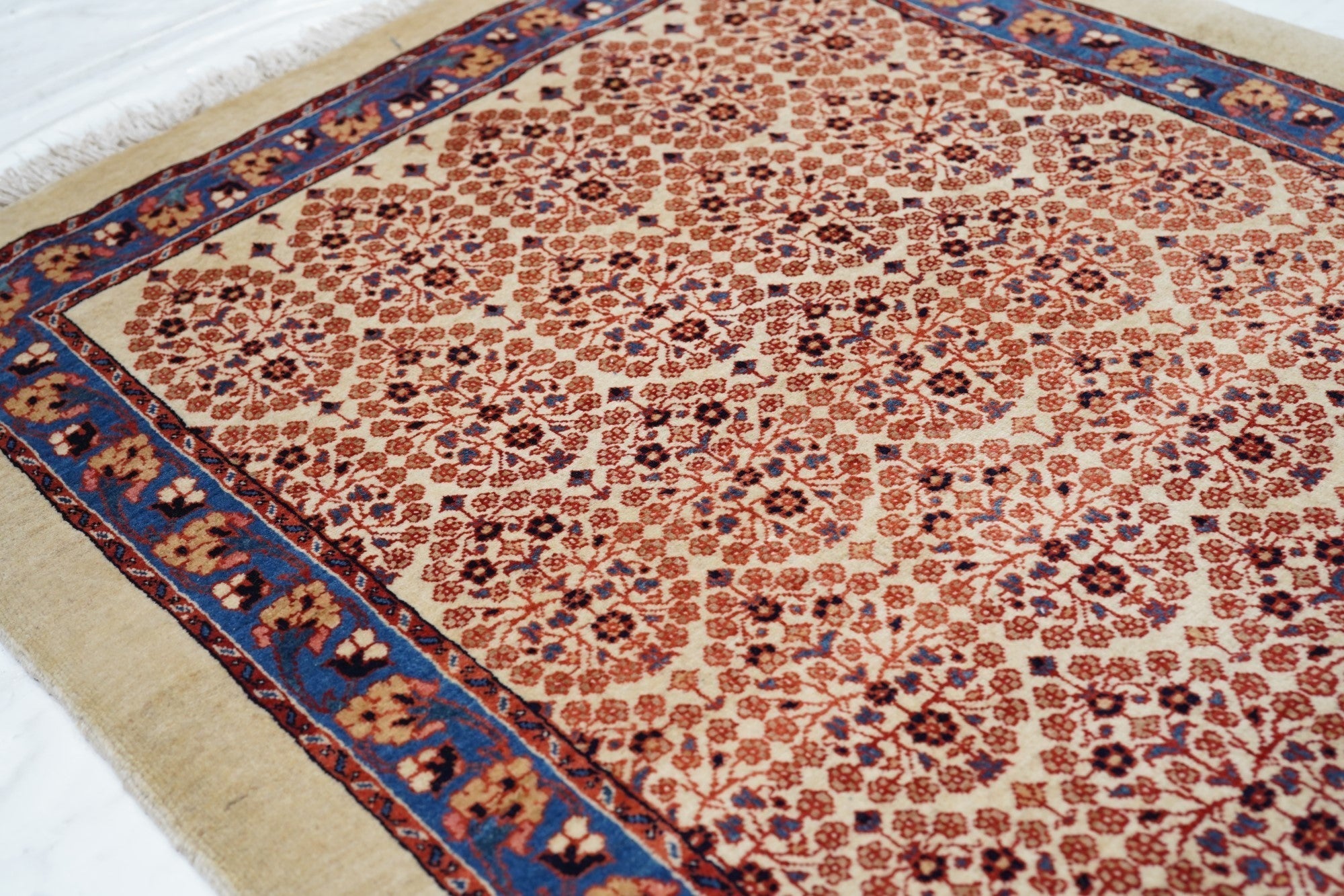 Antique Bidjar Rug 3'0" x 3'4''