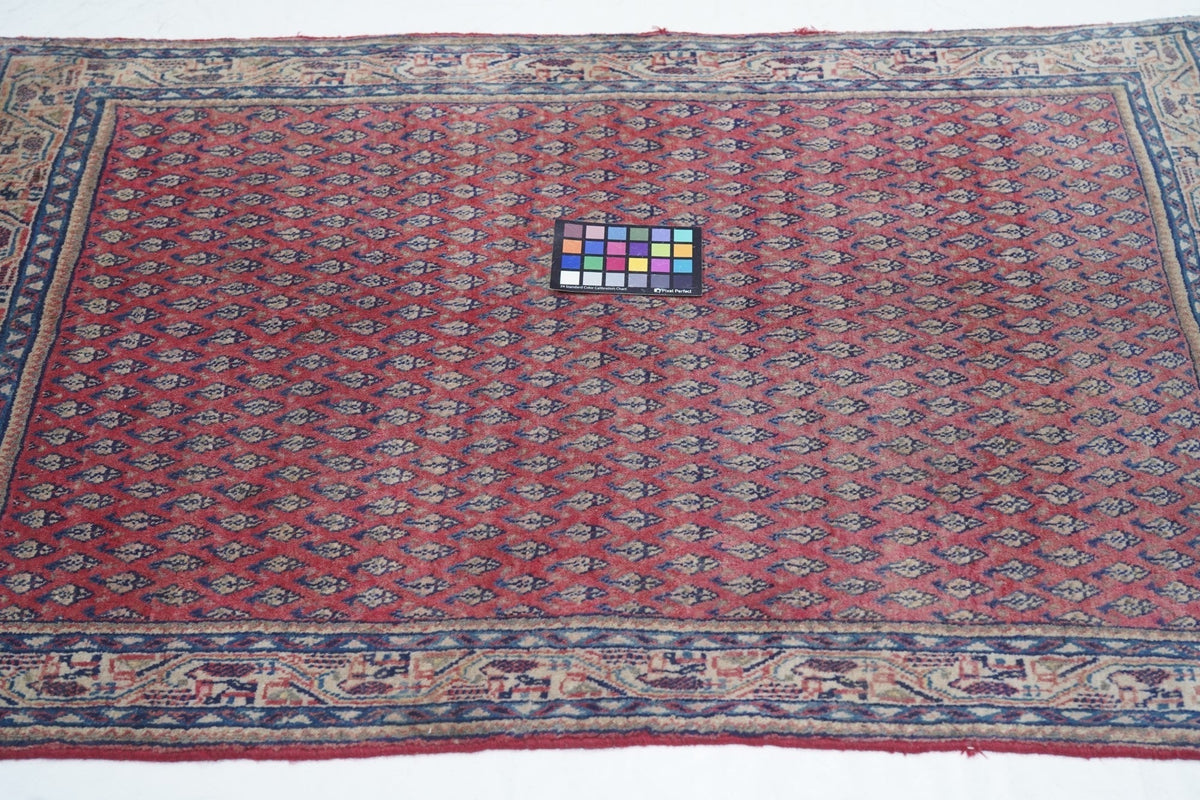 Vintage Seraband Rug 3'0" x 5'0"
