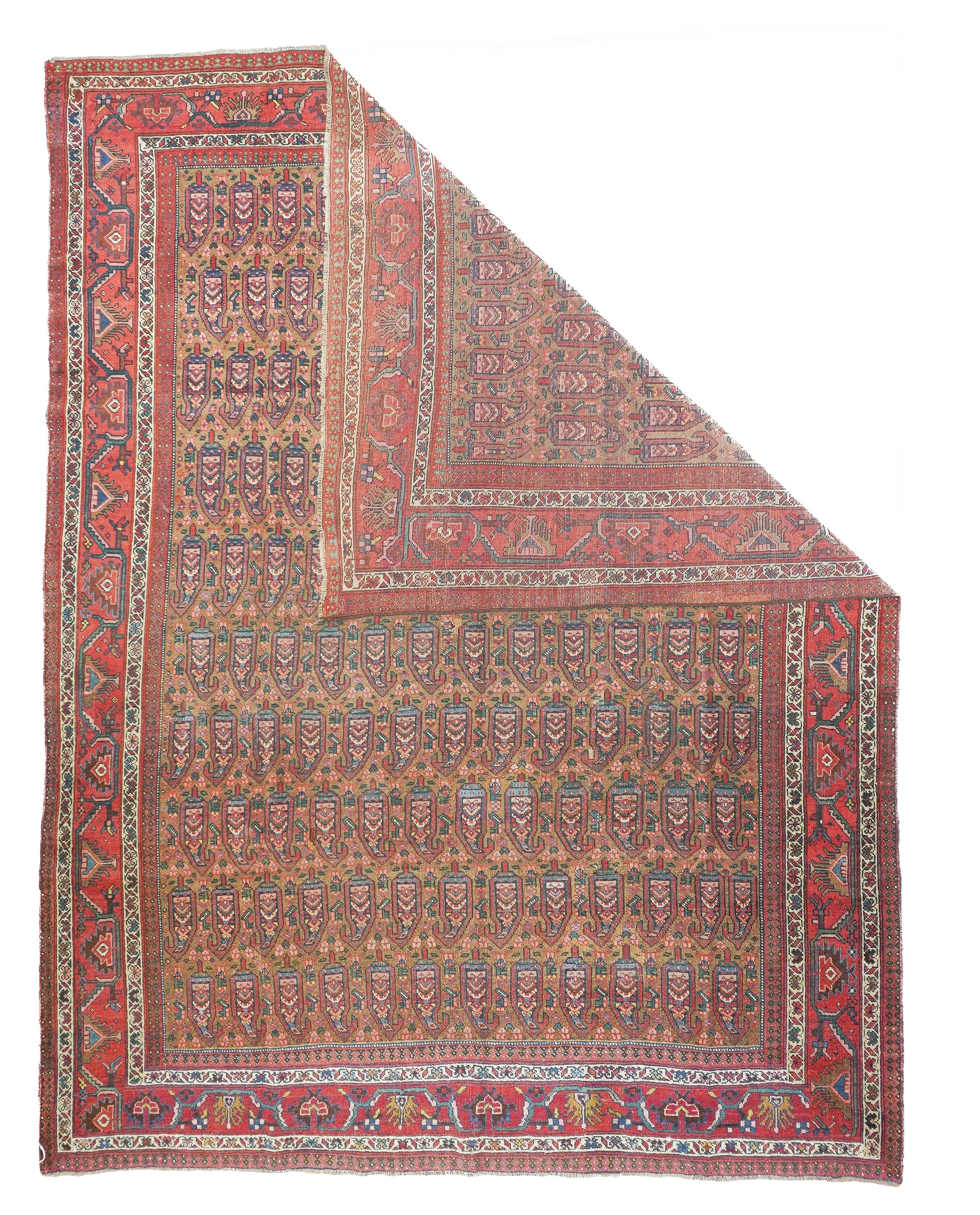 Antique Bidjar Rug 7'11'' x 10'6''