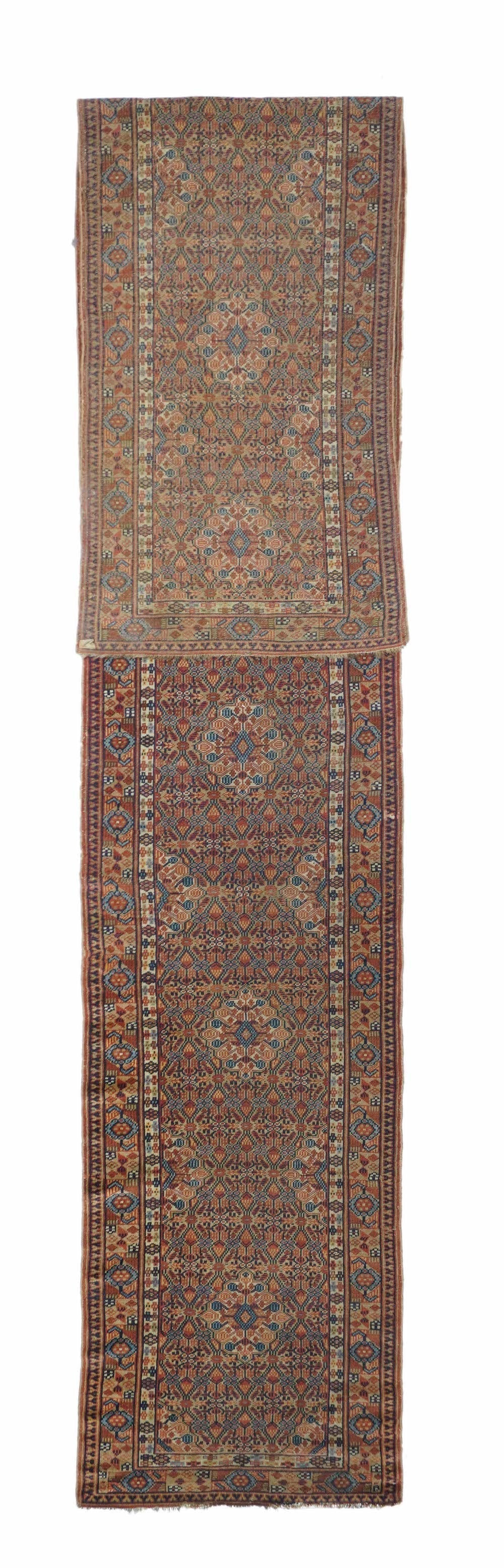 Sarab Runner 2'7'' x 15'9''