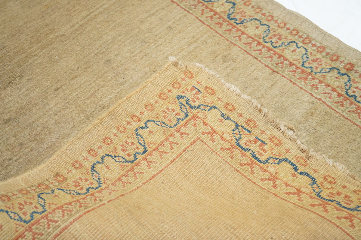 Antique Sultanabad Rug 2'8'' x 6'0''