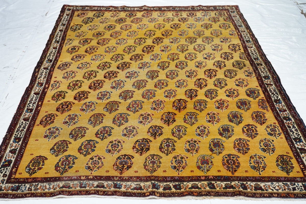 Antique Gashgai Rug 5'7'' x 8'2''