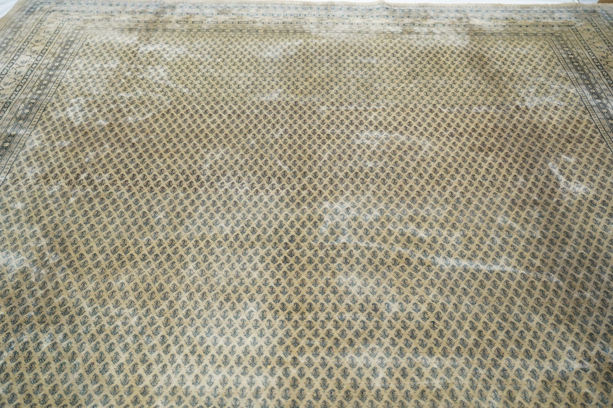 Vintage Seraband Rug 9'11'' x 12'2''