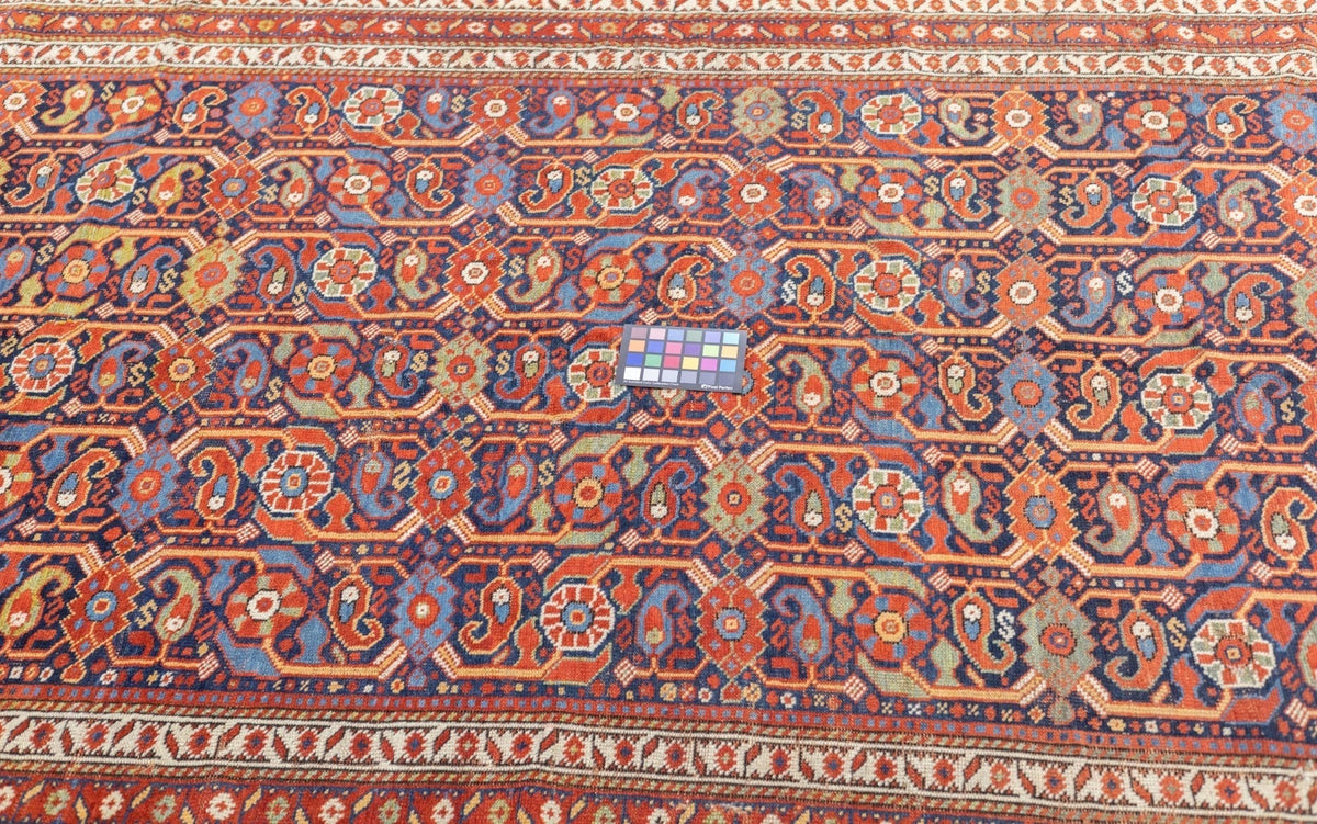 Antique Afshar Rug 5'0" x 8'11''