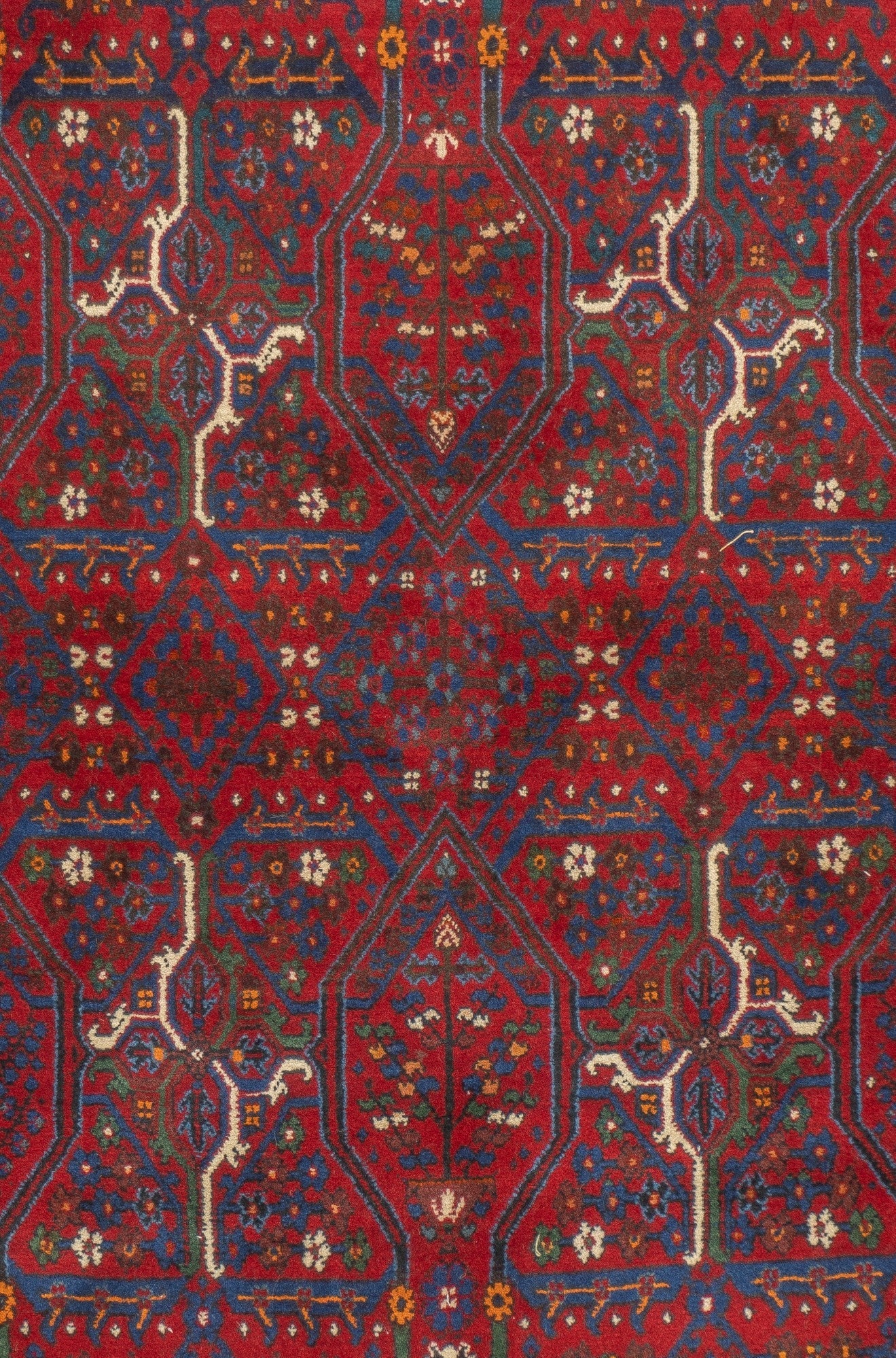Joshaghan Rug 3'7'' x 5'4''