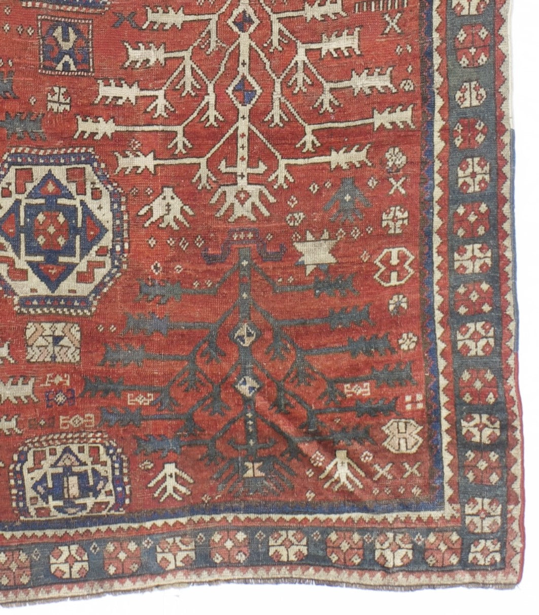 Antique Fine & Very Rare Tree Kazak Rug 5' 6'' x 6' 11''