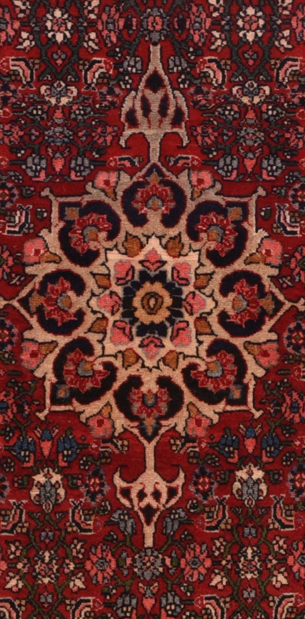 Vintage Bidjar Rug 3'10'' x 5'4''