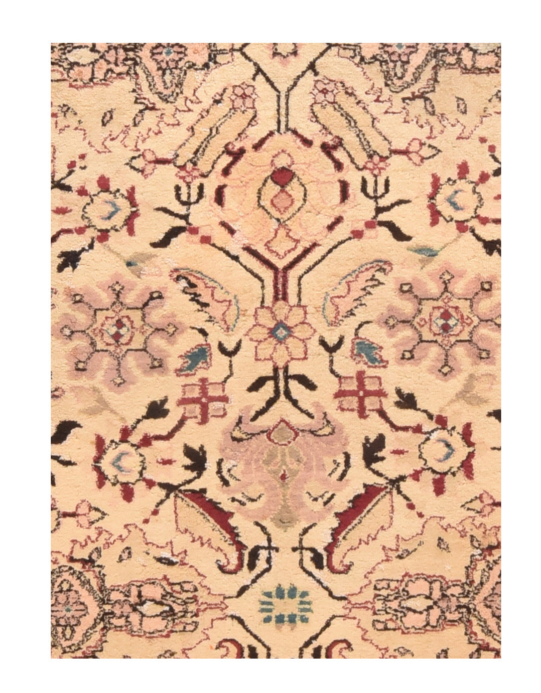 Fine Antique Agra Rug 6' x 7'9''