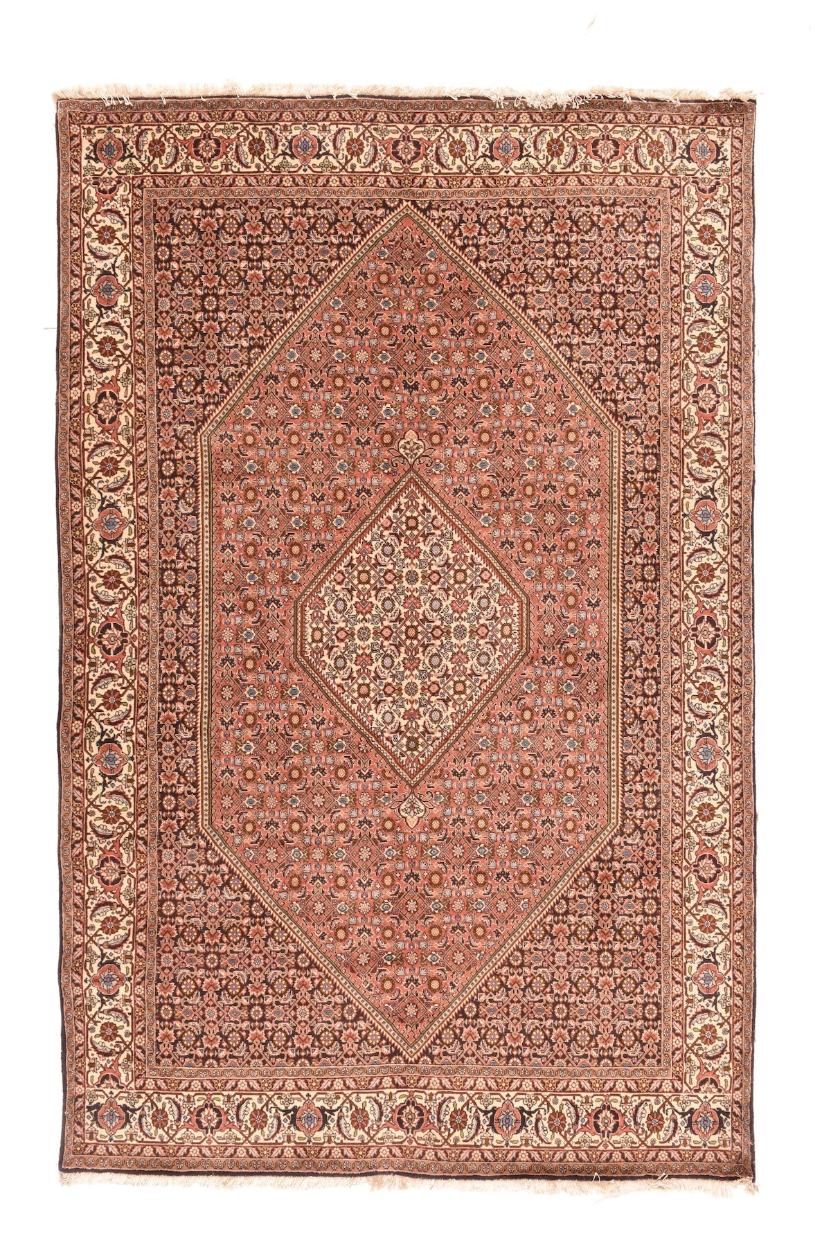 Bidjar Mahi Design Rug 6'8'' x 10'