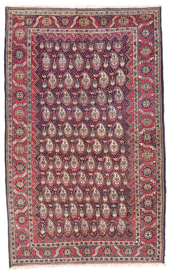 Iran Mahal Wool on Cotton 5'1''x8'10''