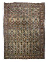 Persia Hajijalili Tabriz Wool on Cotton 9'1''x12'10''