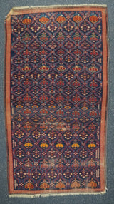 Caucasus Shirvan Wool on wool 3'x5'3''