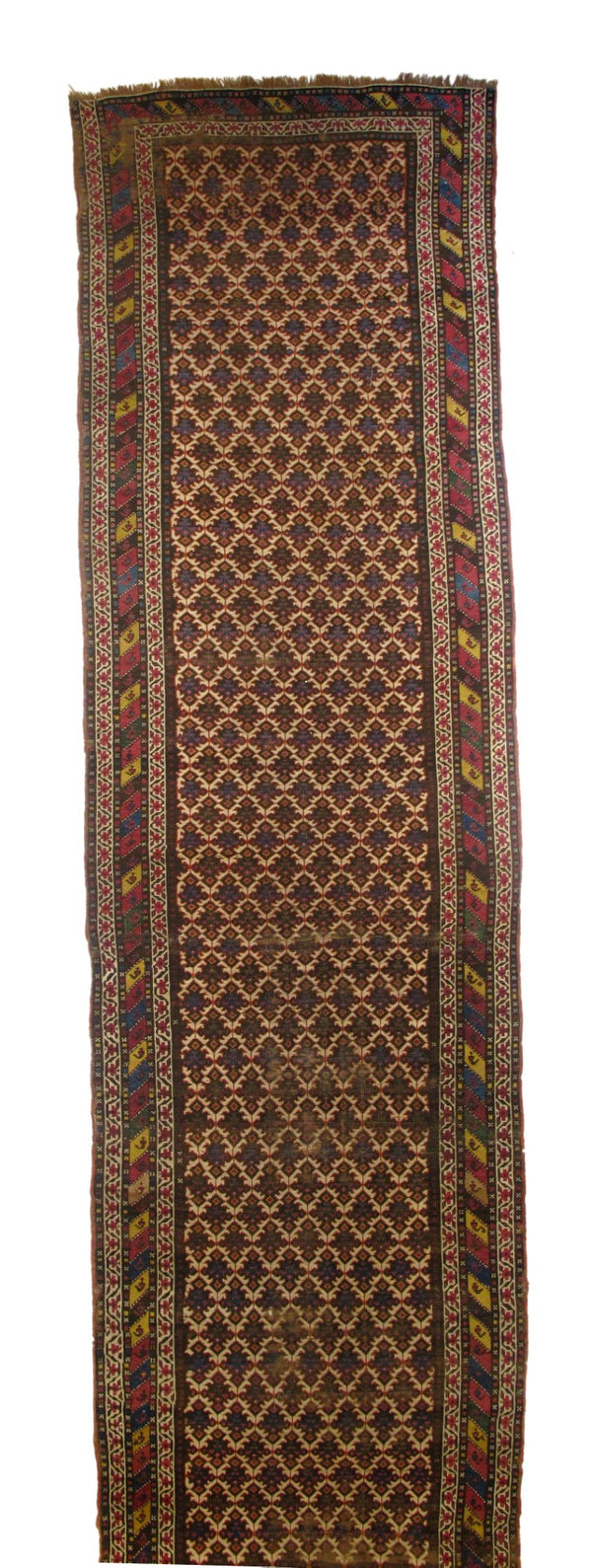 Russian Caucasian Wool on wool 3'8''x15'2''