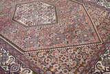 Vintage Bidjar Rug 3'6'' x 5'1''