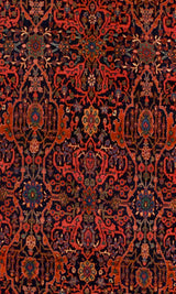Antique  Bidjar Rug 5'4" x 13' 7"
