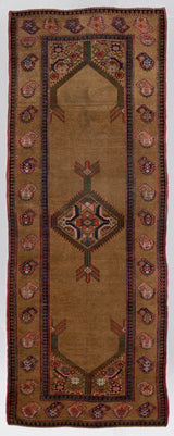 Fine Antique NW  Camel Hair Rug 3'8" x 9' 8''