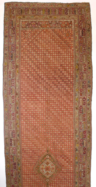 Antique Ghiordes Long Rug 6'7