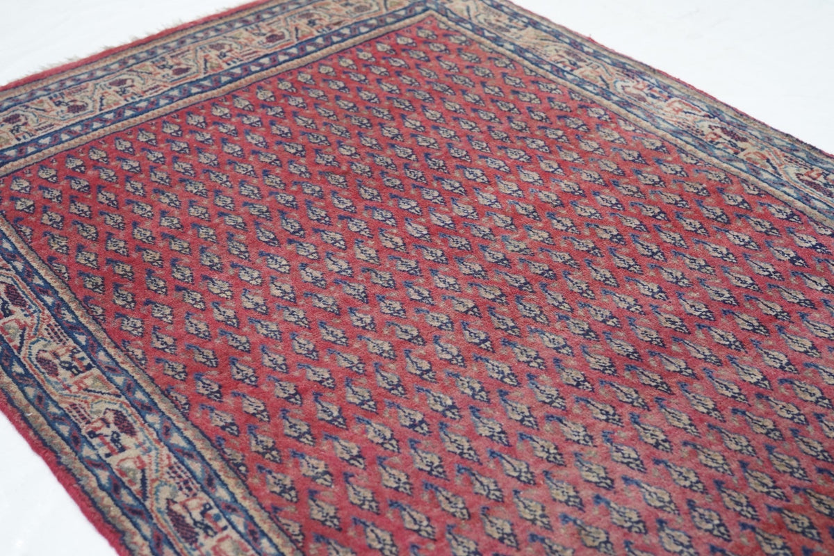 Vintage Seraband Rug 3'0" x 5'0"