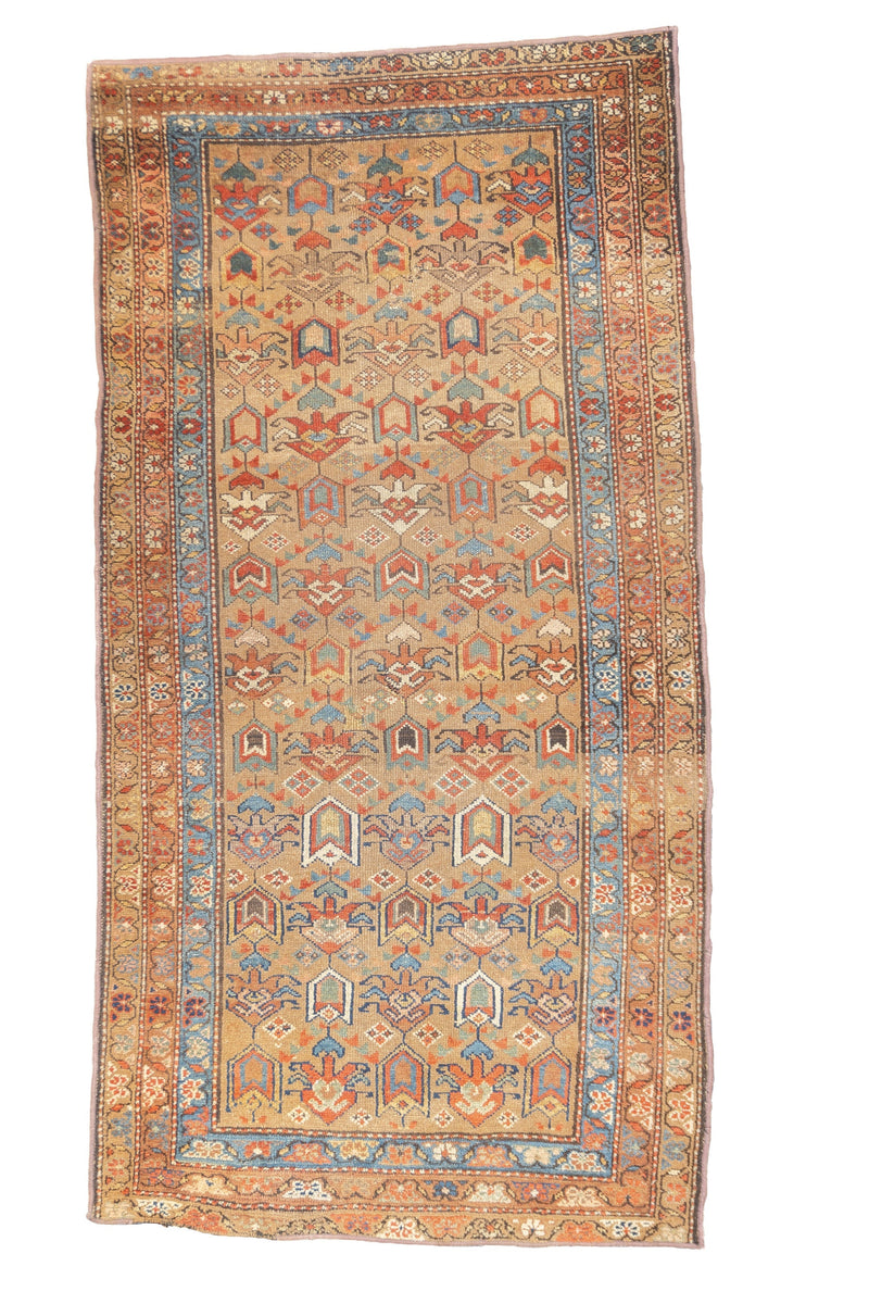 Antique  Kurdish Rug 3'5'' x 6'9''
