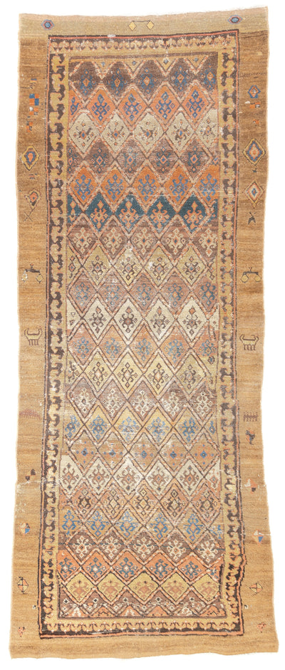 Antique NW  Rug 3'1'' x 7'8''