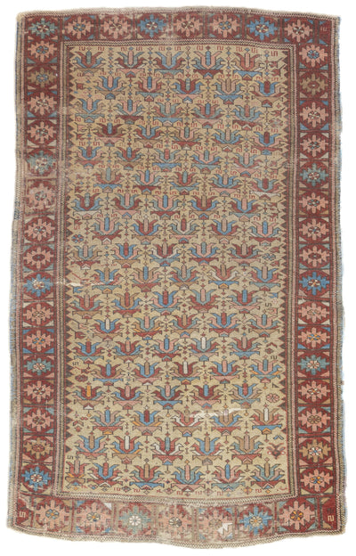 Fine Antique Caucasian Kuba Shirvan Rug 3'5'' x 5'7''