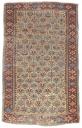 Shirvan