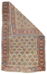 Fine Antique Caucasian Kuba Shirvan Rug 3'5'' x 5'7''