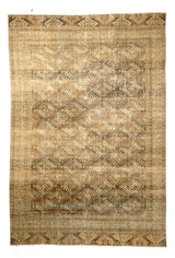 Antique  Yamoud Rug 7'1" x 10' 7''