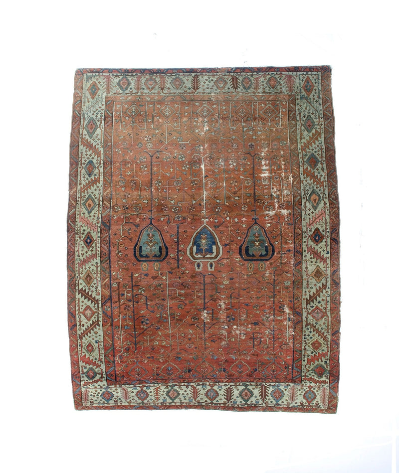 Antique  Bakhshayesh Rug 9'8