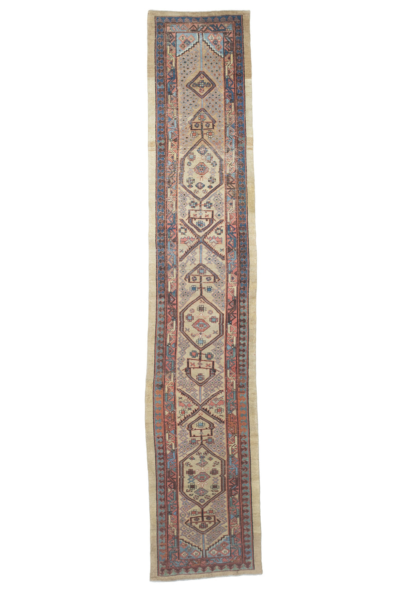 Antique  Bakhshayesh Rug 2' 8'' x 13' 8