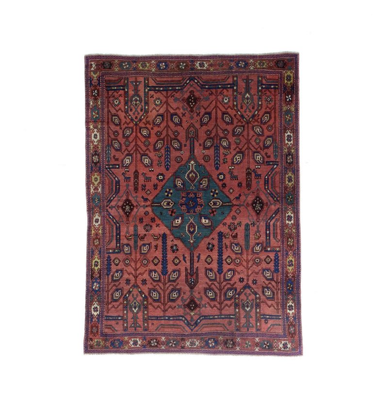 Fine Antique  Bakhshayesh Tribal Wool Rug 5'6