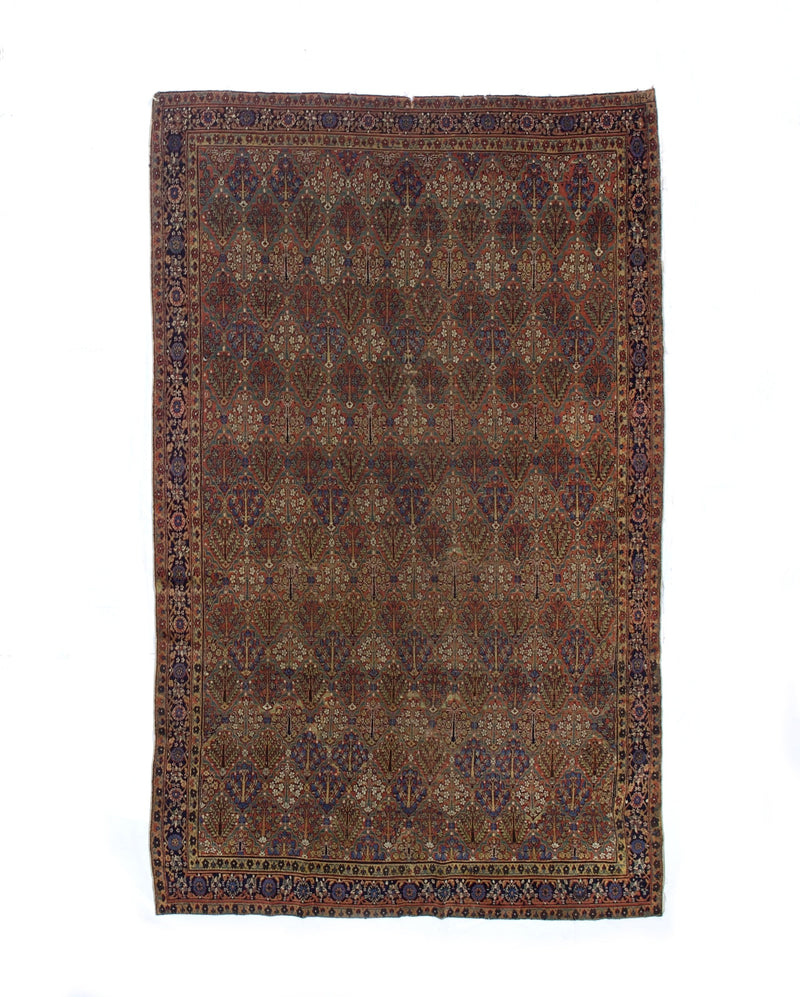 Extremely Fine Antique and rare Joshegan Rug 5'7