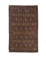 Extremely Fine Antique and rare Joshegan Rug 5'7" x 9'5"