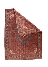 Antique  Bidjar Rug 9'1'' x 12'10''
