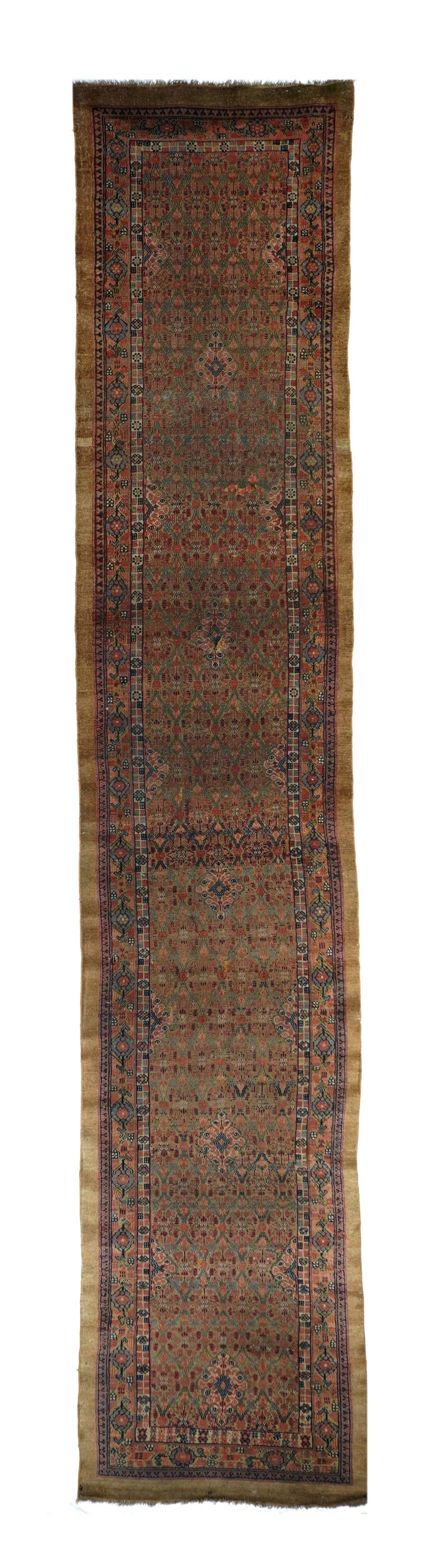 Antique Sarab Runner 2'11'' x 14'11''
