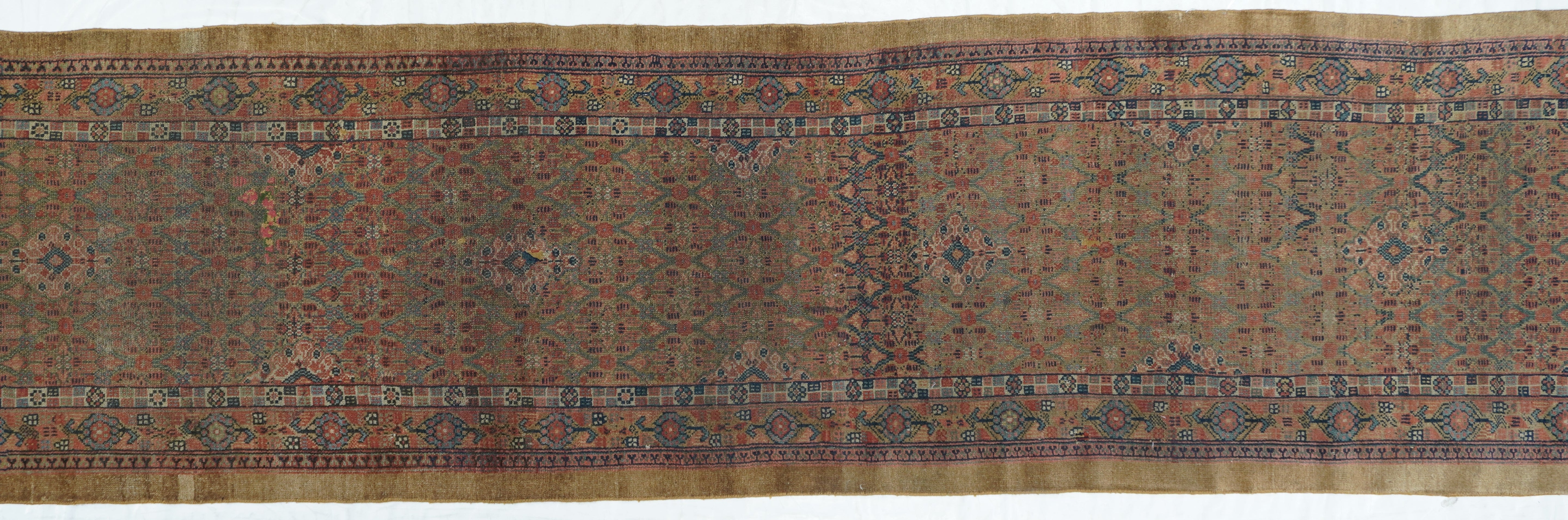 Antique Sarab Runner 2'11'' x 14'11''