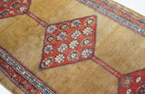 Antique NW  Runner 3'4'' x 10'1''