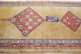 Antique NW  Runner 3'4'' x 10'1''