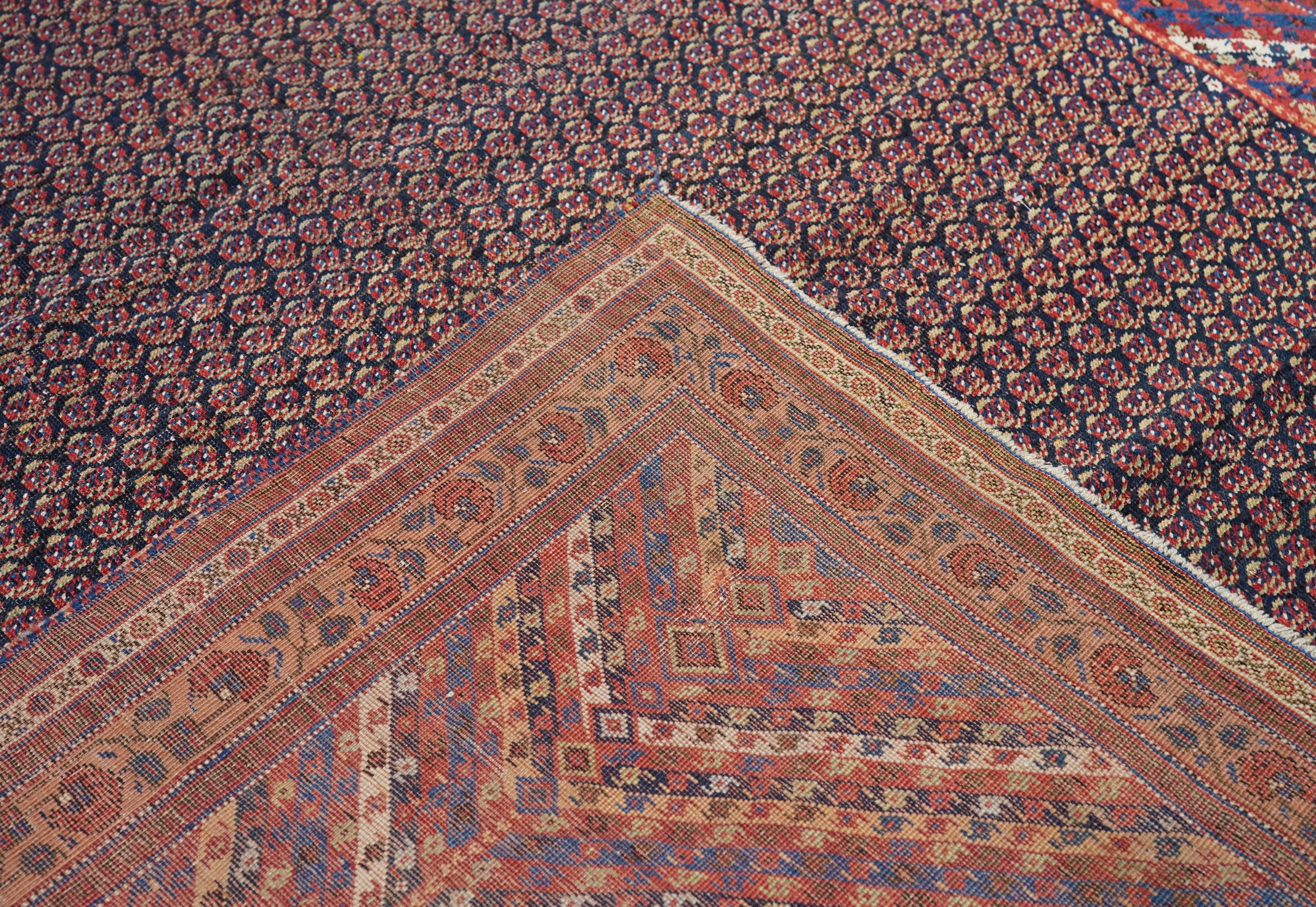 Antique Afshar Rug 6'1'' x 11'0''