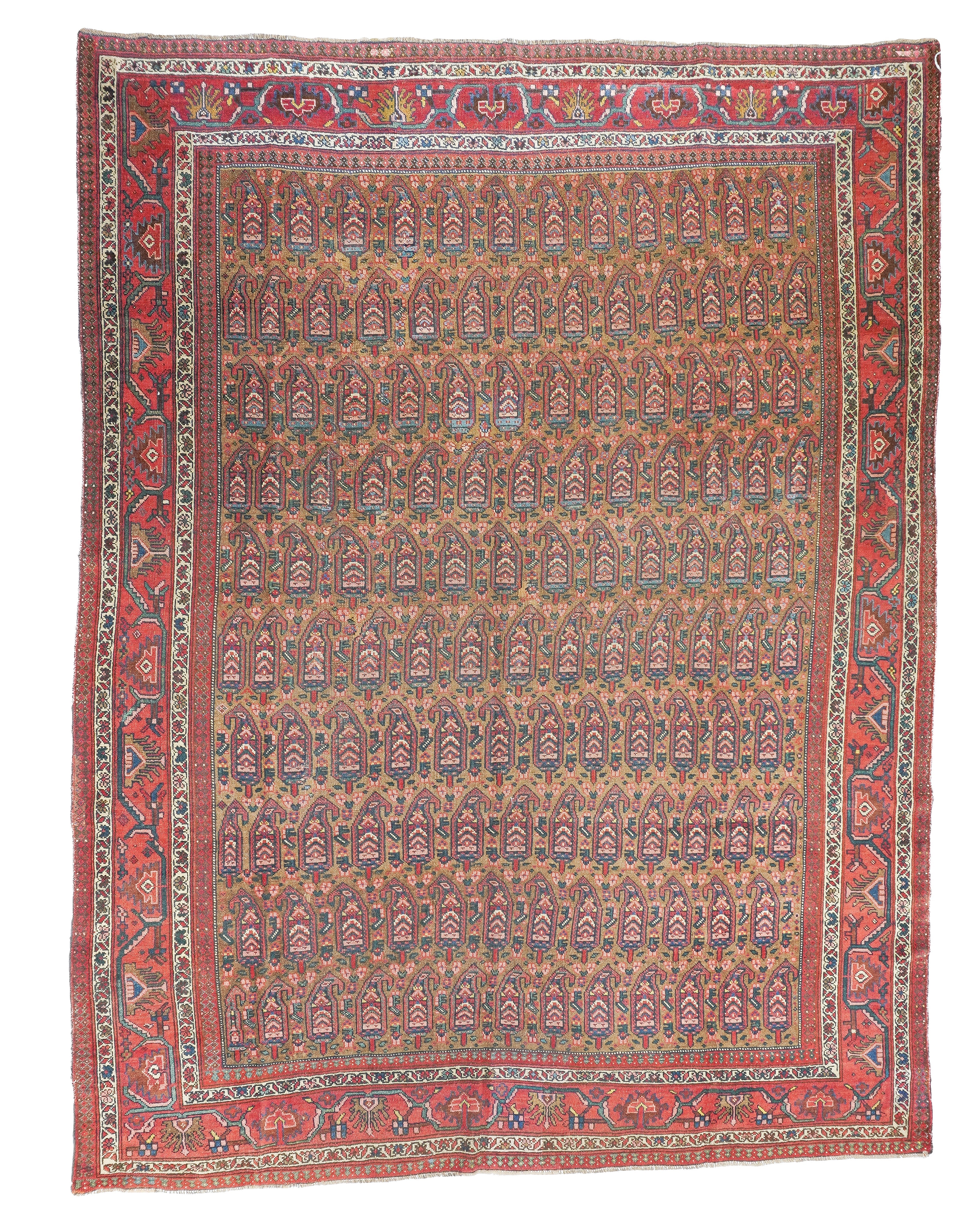 Antique Bidjar Rug 7'11'' x 10'6''
