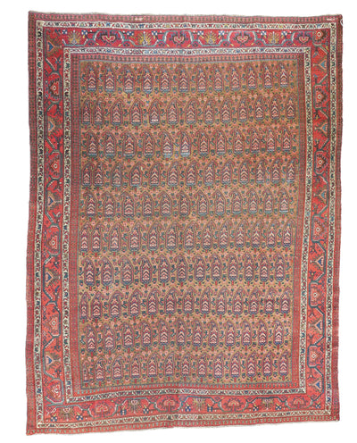 Antique Bidjar Rug 7'11'' x 10'6''