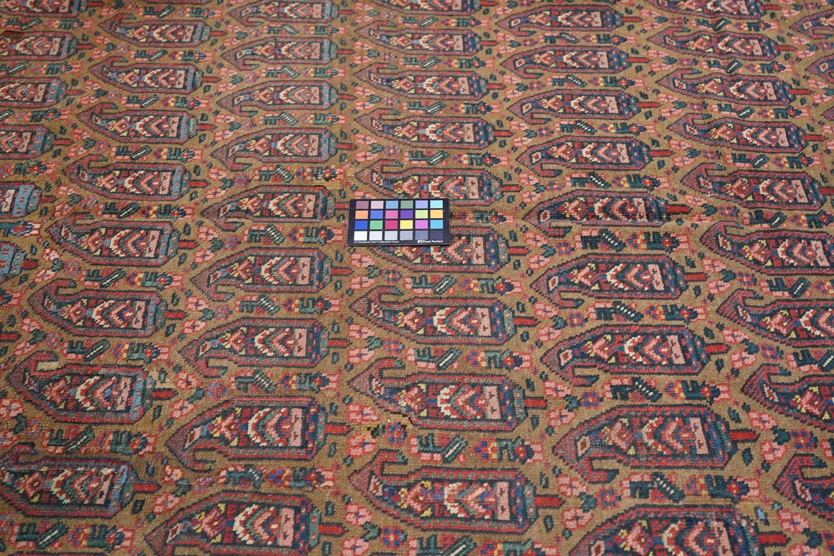 Antique Bidjar Rug 7'11'' x 10'6''