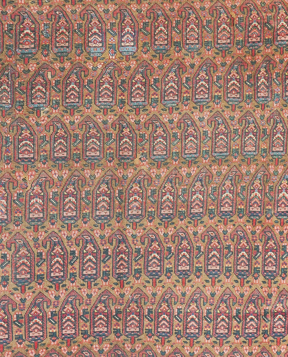 Antique Bidjar Rug 7'11'' x 10'6''