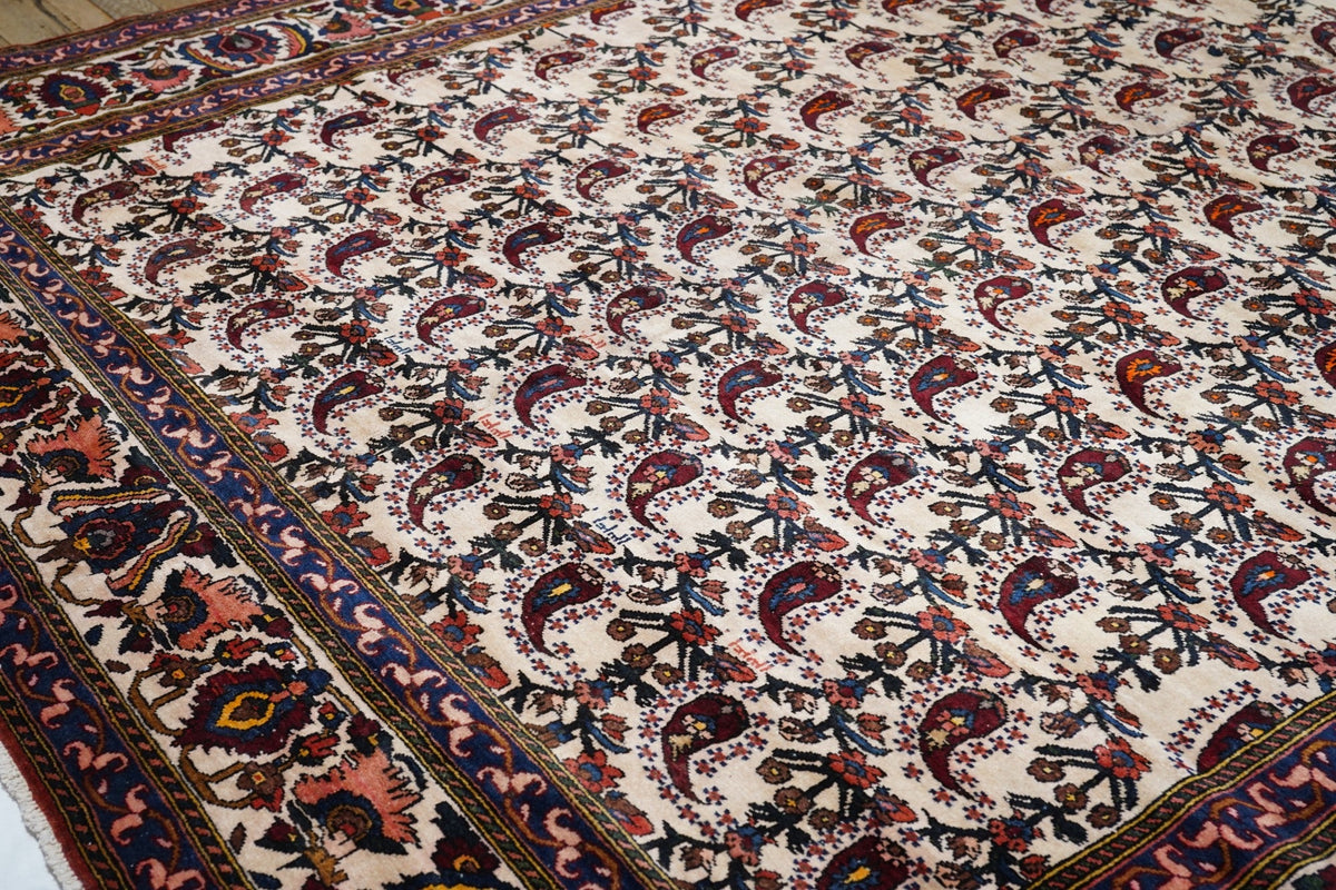 Vintage Bakhtiari Rug 11'10'' x 14'0''