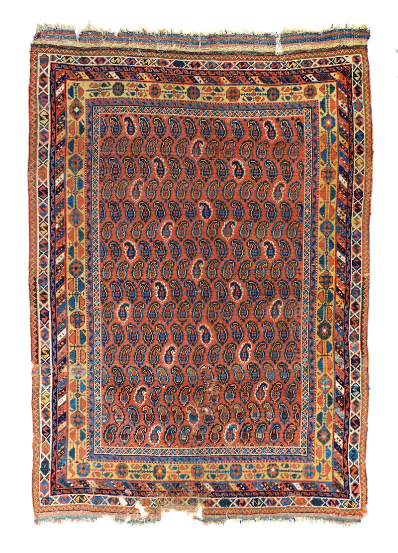 Antique Afshar Rug 4'3'' x 6'0