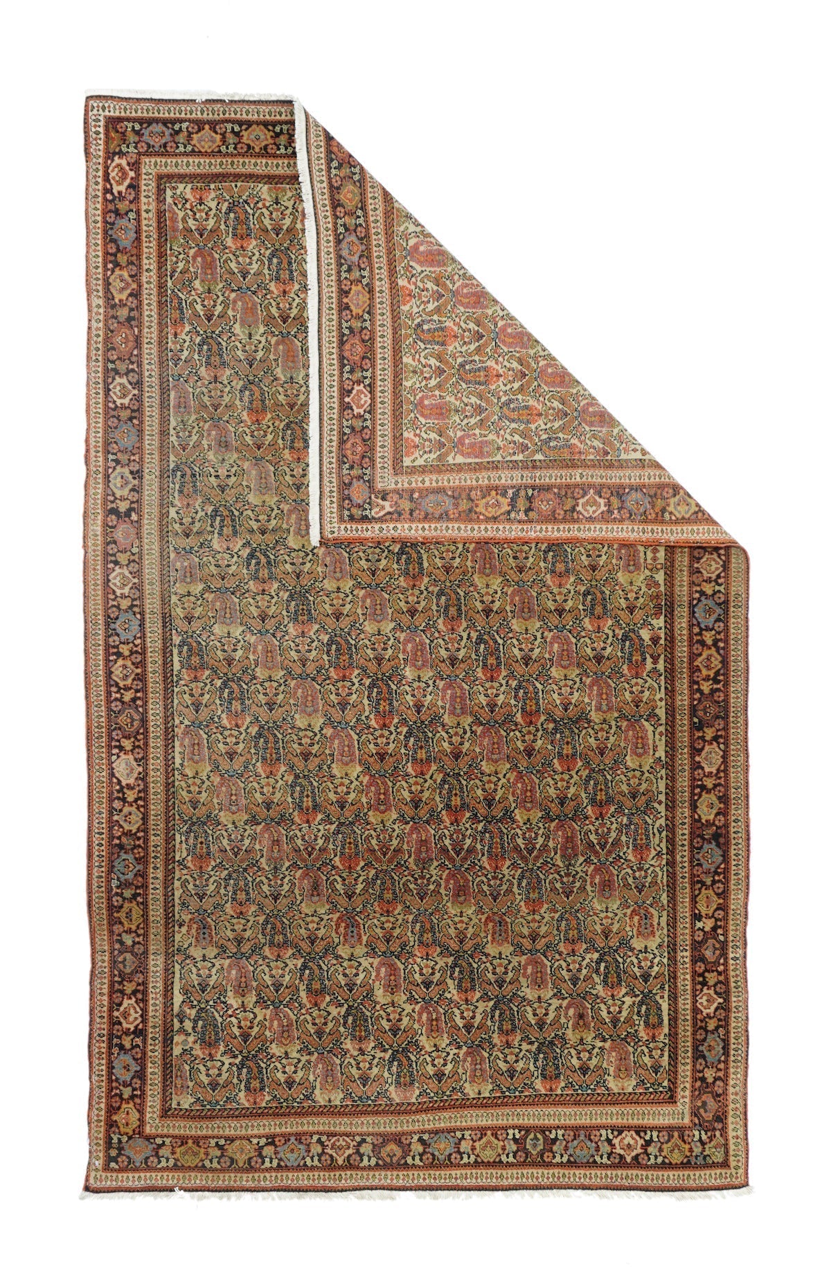Persia Wool on Cotton 4'1''x6'5''