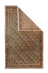 Persia Wool on Cotton 4'1''x6'5''