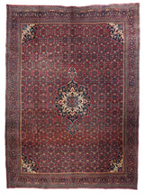 Antique Bidjar Rug 9'0'' x 12'1''