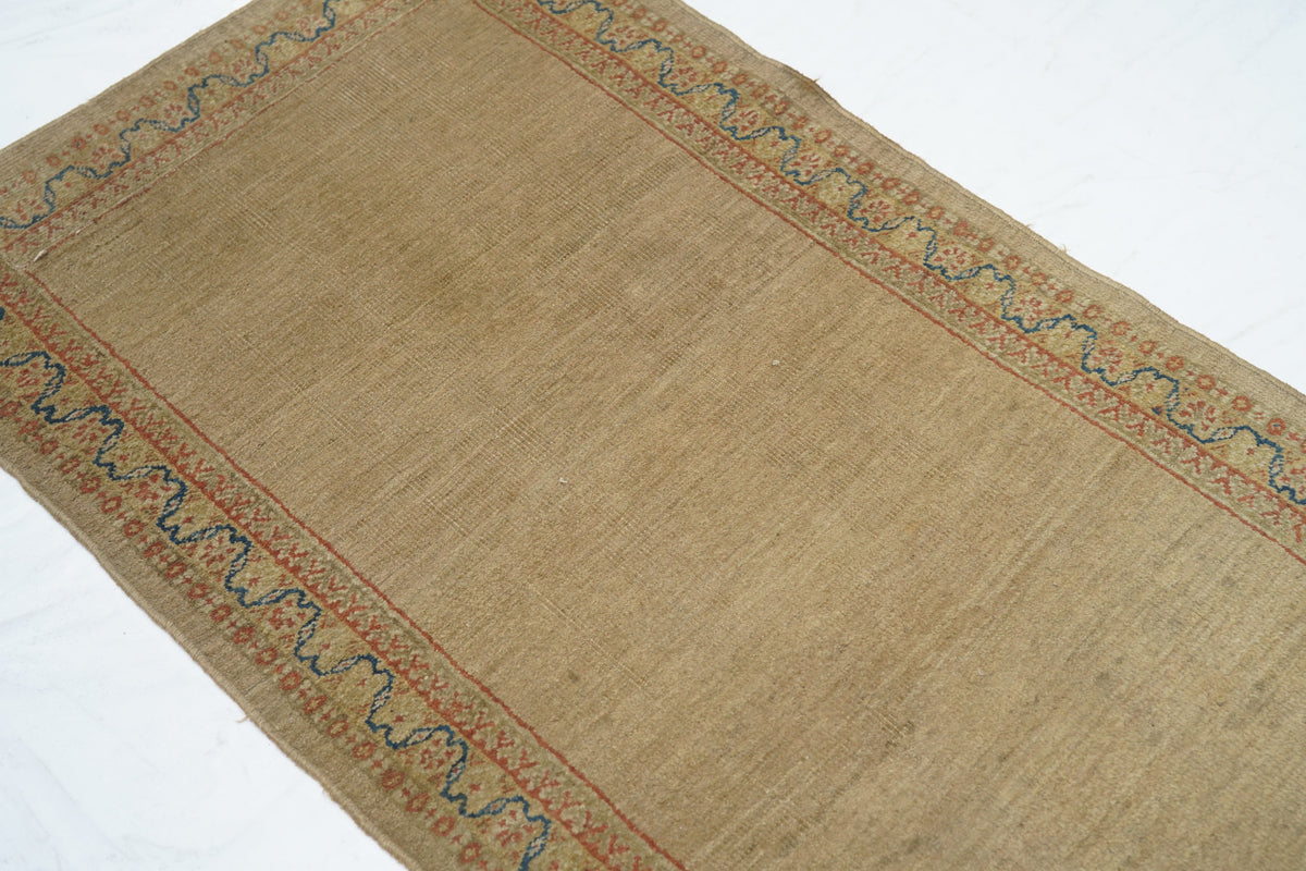 Antique Sultanabad Rug 2'8'' x 6'0''