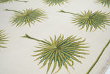 Sumak Rug 6'0" x 9'0"
